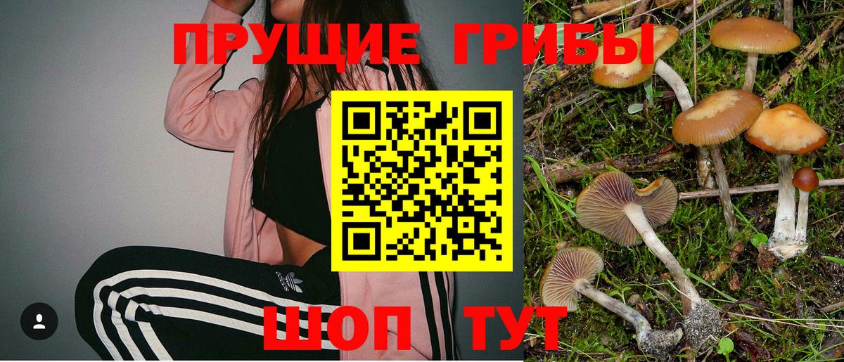Псилоцибиновые грибы Magic Shrooms  Псилоцибиновые грибы Psilocybe  Кыштым  Вход с VPN 