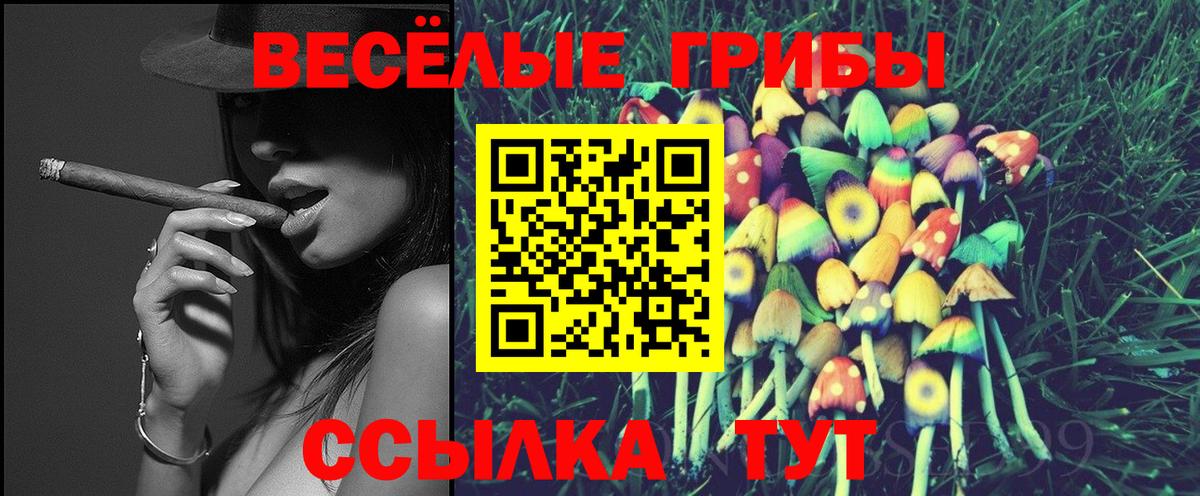 Псилоцибиновые грибы прущие грибы Кыштым